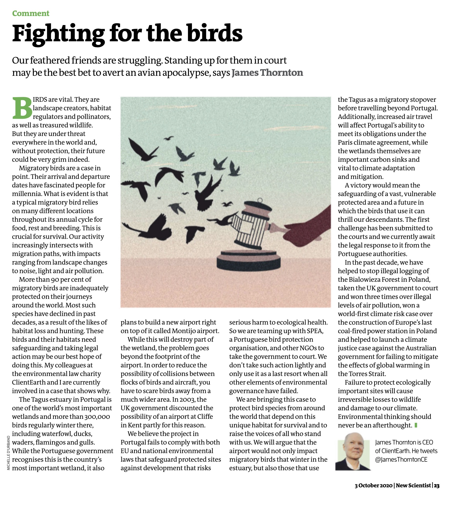 local-image-medium-78