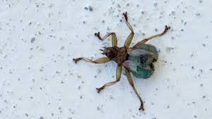 stacks-image-3c99747