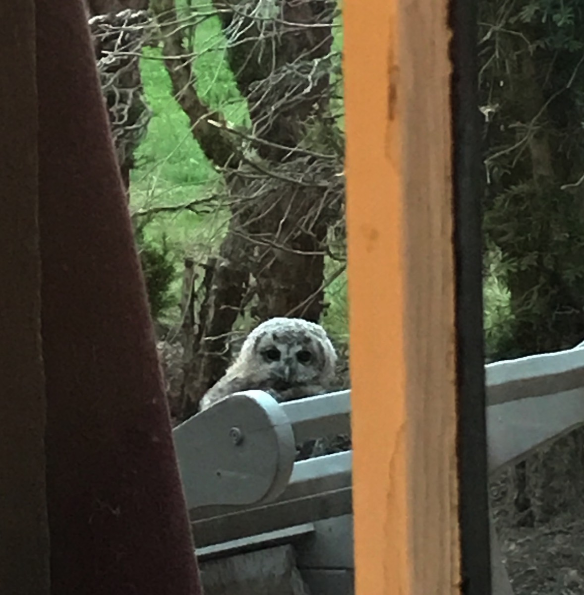 stacks-image-72a2ed2-1178x1200