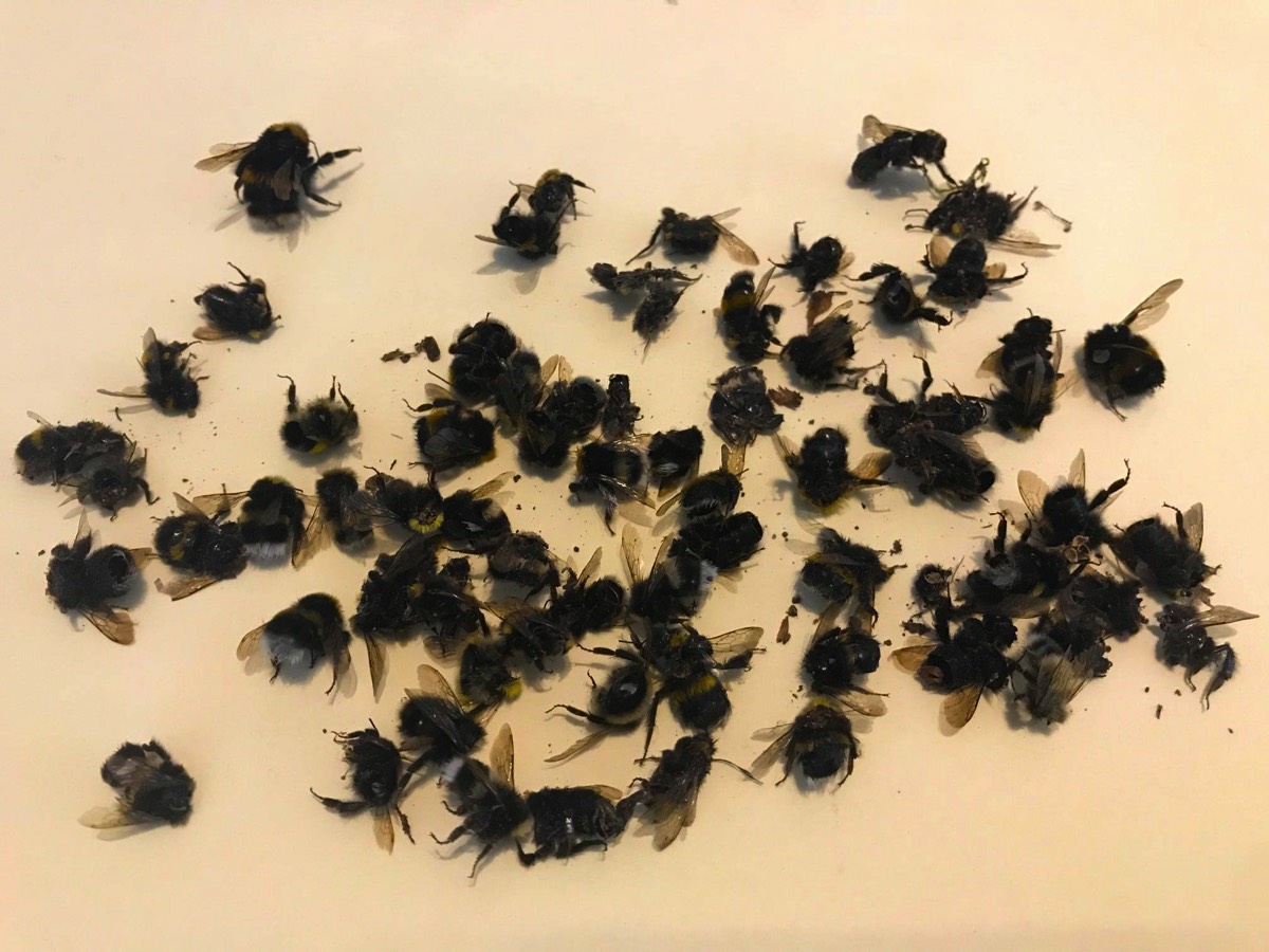 stacks-image-cf81a68-1200x900