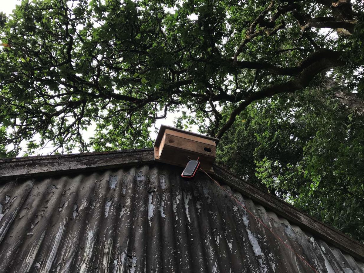 stacks-image-f0c7fd3-1200x900