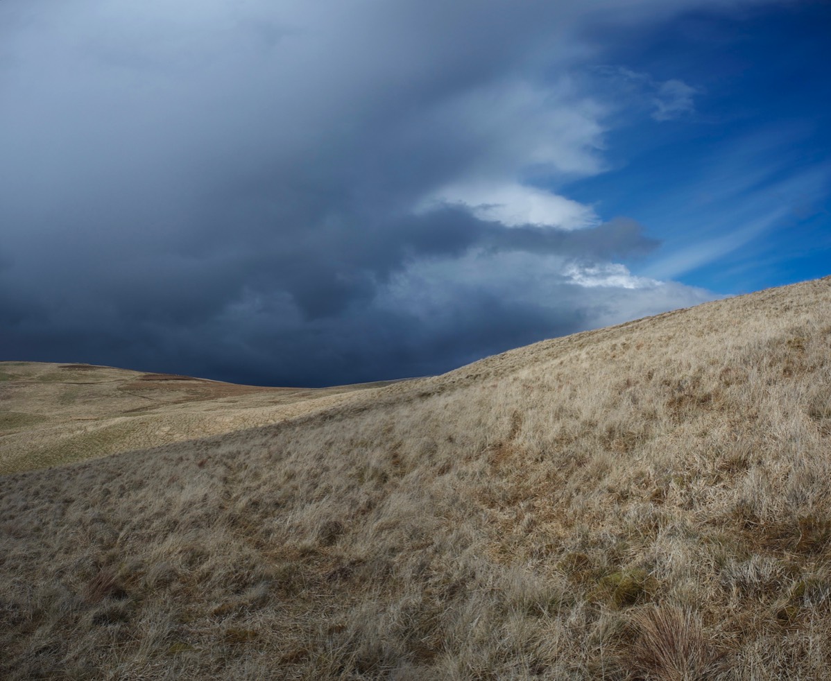 Stacks Image 9